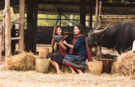 Revolutionizing Rural Vietnam: An Artful Blend of Economics and Human Stories