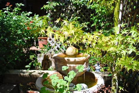  Secrets of the Mexican Garden A Bountiful Ode to Nature's Abundance and the Timeless Wisdom of Ancient Practices